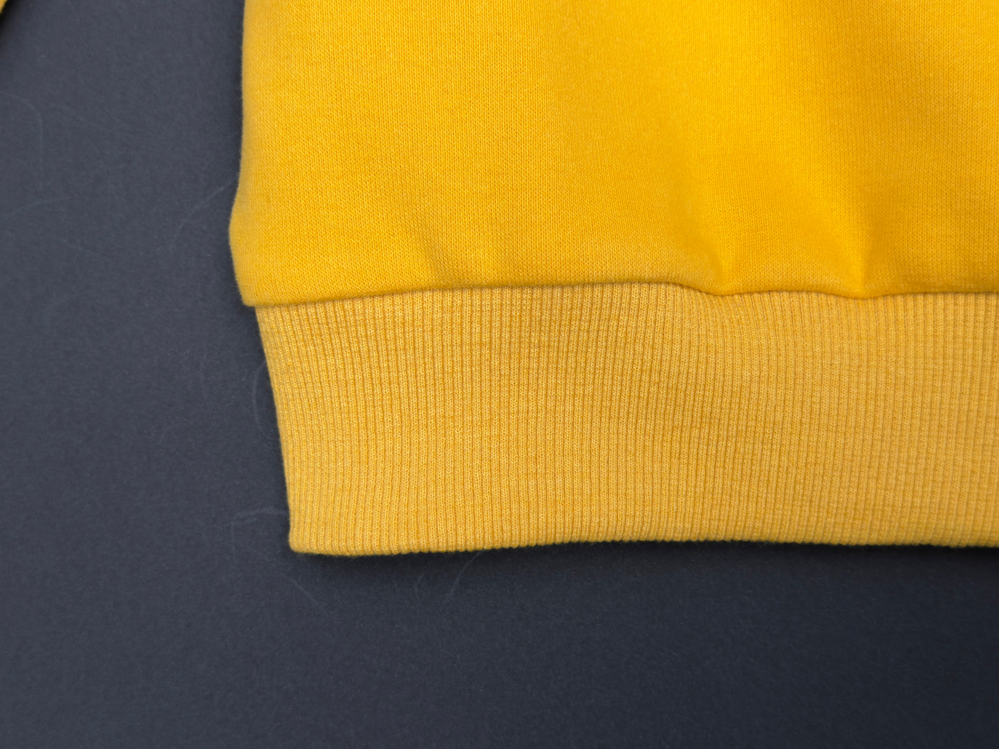 Regal Paw Rugby Golden Sun